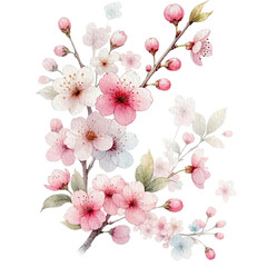 Fototapeta premium Cherry blossom floral spring watercolor border decoration art.