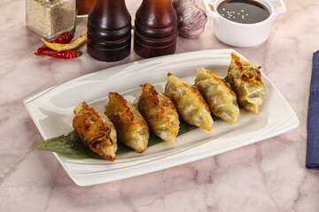 Fried Japanese stuffed dumplings - Gyoza