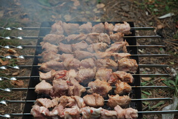 Barbecued skewered meat cooking outdoors, with smoke rising and natural background