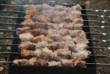 Juicy chunks of meat cooking on a grill with smoke, capturing the essence of outdoor barbecuing