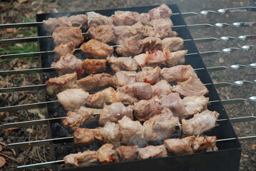 Juicy meat skewered for barbecue grilling over charcoal, a popular outdoor cooking activity