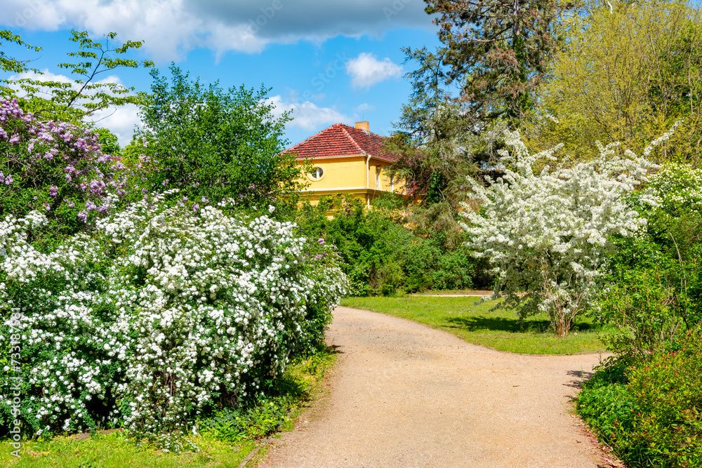 Wall mural sanssouci park in spring, potsdam, germany