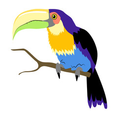 Tropical bird toucan sits on tree branch. An exotic bird with bright plumage and a large beak. Style is flat cartoon. Hand-drawn vector illustration on white background.