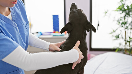 A woman in scrubs examines a black labrador in a veterinary clinic, illustrating pet care.