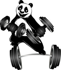 Bodybuilder Panda Bär mit Hanteln beim Training