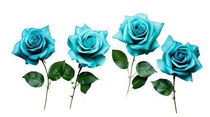Teal Roses and Floral Elements Isolated on Transparent Background for Stunning Garden Designs and Perfume Advertisements - Vibrant 3D Botanical Art in PNG Format, Ideal for Romantic Creations 