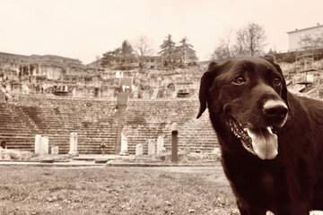 Sepia photo of a black Labrador retriever dog with in the background the Famous Fourviere Lyon...