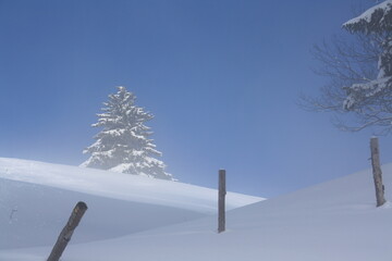 randonnée le matin dans la neige ou le ciel bleu fait son apparition