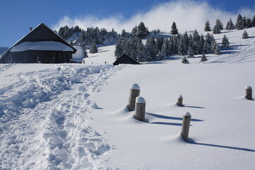 randonnée raquettes . alpages de Tré le Saix. vallée de Bellevaux. Alpes . Haute Savoie