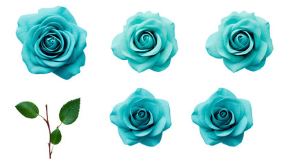 Turquoise Rose Collection: PNG Digital Art 3D Isolated on Transparent Background for Perfume & Garden Designs
