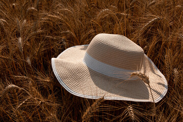 A wide-brimmed straw hat rests on a golden wheat field, bathed in warm sunlight, evoking a sense of summer and tranquility