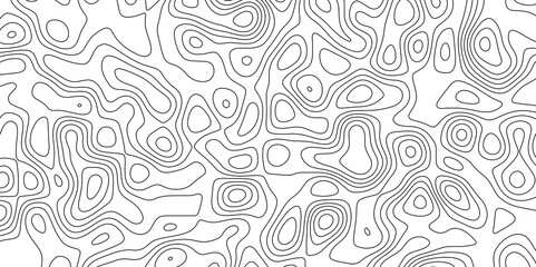 Abstract white topography vector background. Topographic map. Geographic mountain relief. counter map wavy line paper textrue. grid curve line abstract vector illustration