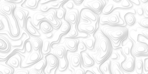 Abstract geometric layered curve line white background. 3d white papercut topography relief. Cover layout template. paper cut topography soft background banner texture. light liquid wave illustration.