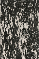 black and white background