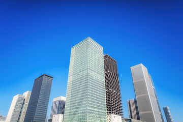 Fototapeta na wymiar Skyscrapers Rising Above Urban Park in City Center