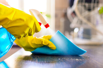 House Cleaning with Spray Bottle and Cloth