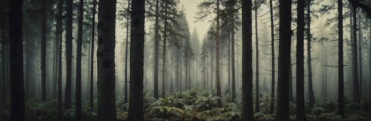 Photo sur Plexiglas Kaki Vintage photo of dense forest enveloped in fog, with tall trees and ferns. Old-fashioned woodland landscape, misty atmosphere, nature background for website header with copy space. Generative AI