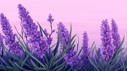 Fototapeten Clipart background of lavender © TY