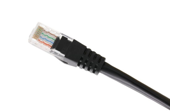 Network cables with molded RJ45 plug on transparent background (PNG File)
