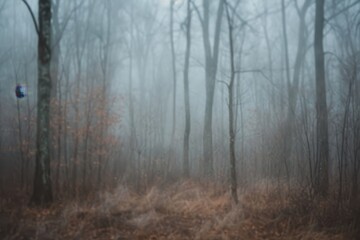 Fototapeta premium Foggy Forest Abstraction