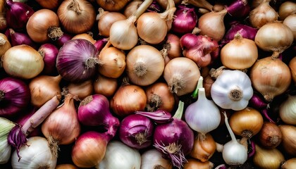 A pile of onions and purple onions - obrazy, fototapety, plakaty
