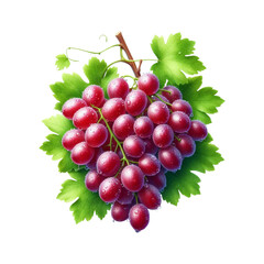 Fototapeta premium Red grape with leaves isolated on transparent background Ai generative.