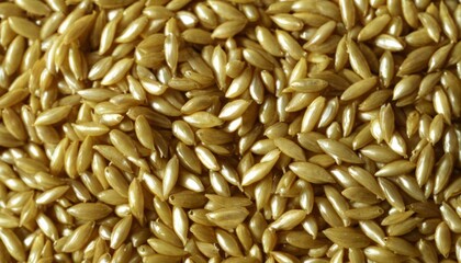 A close up of a pile of wheat