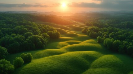 Lotniczy widok na bujne zielone pole, na które padają światło słoneczne tworząc falistą scenerie