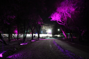 Night Path, Silver Skate Festival, Sir Wilfrid Laurier Park, Edmonton, Alberta
