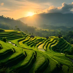 Fotobehang Terraced rice fields in the mountains. views of plants and views of the sun in the morning © muhammad