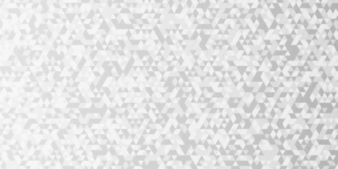 Foto op Canvas Abstract geometric background vector seamless technology gray and white background. Abstract geometric pattern gray Polygon Mosaic triangle Background, business and corporate background. © MdLothfor
