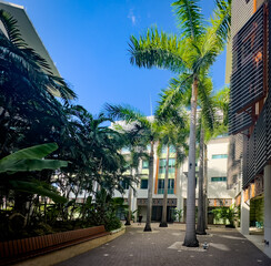 Grand Cayman, Cayman Islands, jan 19th 2024, view of a pedestrian zone with a lush vegetation in Camana Bay. - 733249107