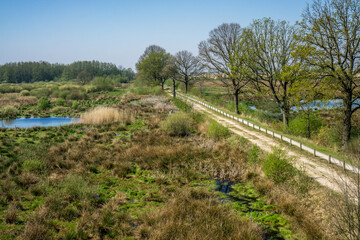 Fototapeta premium View of the Fochteloërveen (peat, more) near Assen, The Netherlands during a beautiful sunny day