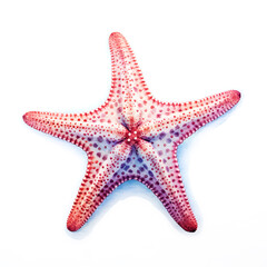 This image features a vibrant starfish with a distinct pattern, digital watercolour on white background, highlighting its intricate details. - 733250581