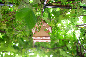 A wooden birdhouse hangs on a trellis in a grape arbor. Feeding birds in the garden.