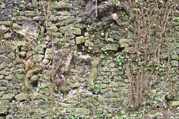 Detail of abandoned ancient Roman aqueduct with plant roots