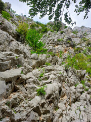 rocks in the mountains