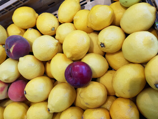 Limoni