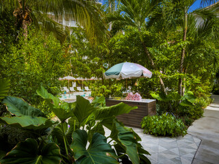 Grand Cayman, Cayman Islands, June 26th, 2023, view of the swimming pool entrance at Miss Pipers restaurant surrounded by a lush vegetation - 733256507