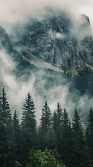 Stylish wallpaper background for your phone with a landscape of forest mountains in the fog