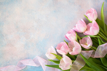 Pink tulips and ribbon on decorative colorful background, copy space - 733260348