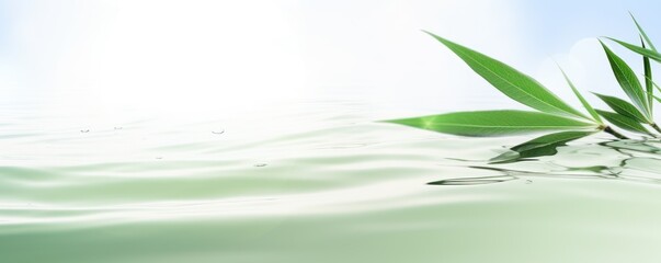 green bamboo leaf on white transparent water wave