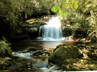 Waterfall in the forest - cachoeira