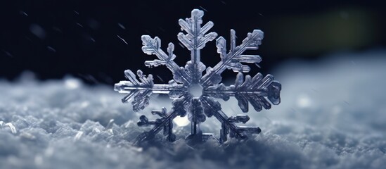 close up snowflakes in winter - obrazy, fototapety, plakaty