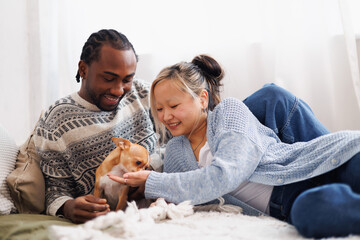 Smiling young interracial couple playing with chihuahua dog on bed