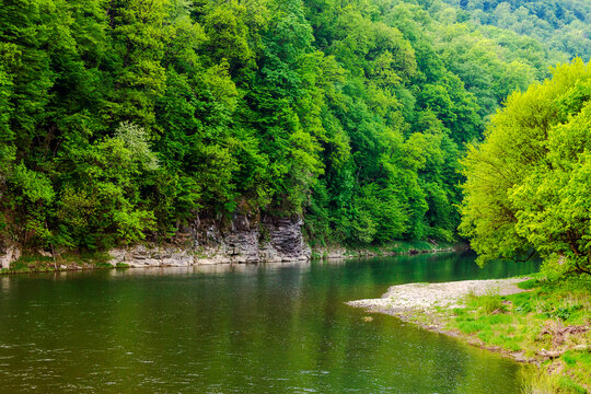 landscape of a green valley with river in spring. forest on the rocky shore. scenery reflecting in calm water stream