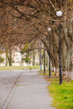 paved street through the urban park in early spring. lanterns among leafless trees