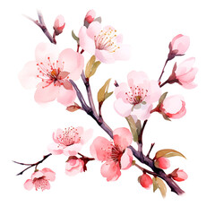 Watercolor Clipart Background Design