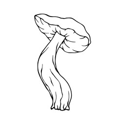 Linear sketch, coloring of toadstool mushrooms. Vector graphics.