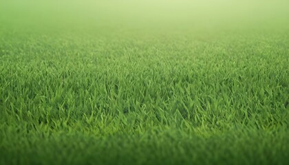 Fototapeta na wymiar Green and Soft Grass Background